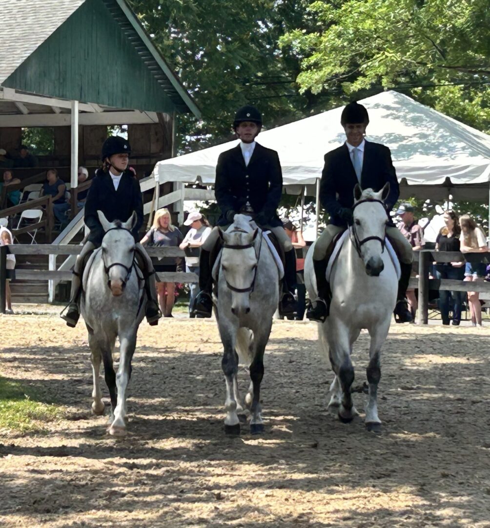Three men in suits are riding horses at a horse show.